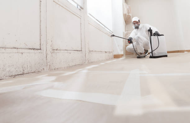 24/7 Emergency Basement Mold Removal experts in North Palm Beach, FL