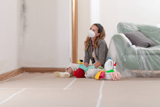 Reliable Basement Mold Removal contractor in North Palm Beach, FL by WQB Mold Removal